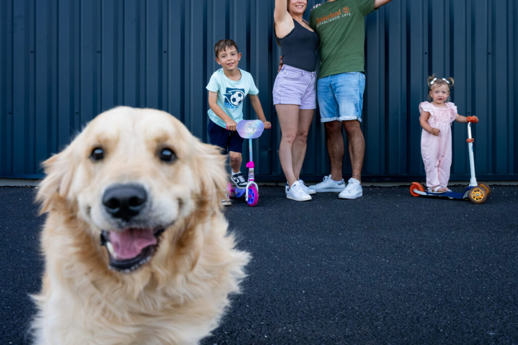 Un chien au premier plan devant une famille et ses trottinettes