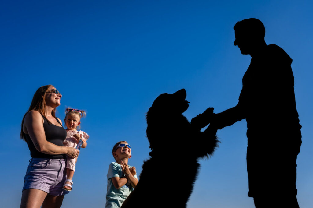 Silhouettes d’une famille jouant avec son chien sous un ciel bleu