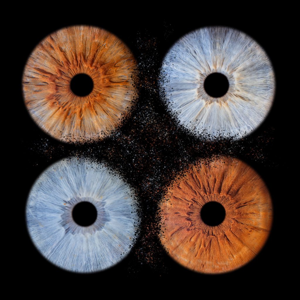 Composition de quatre iris bleus et cuivrés avec un effet de dispersion