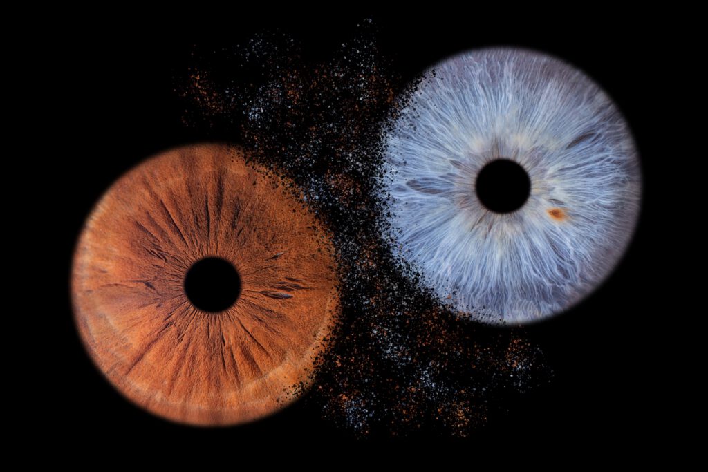 Composition de deux iris cuivré et bleu avec un effet de dispersion