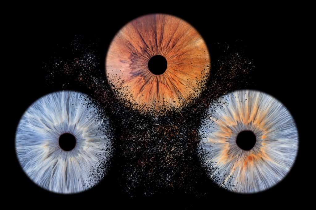 Composition de trois iris disposés en triangle
